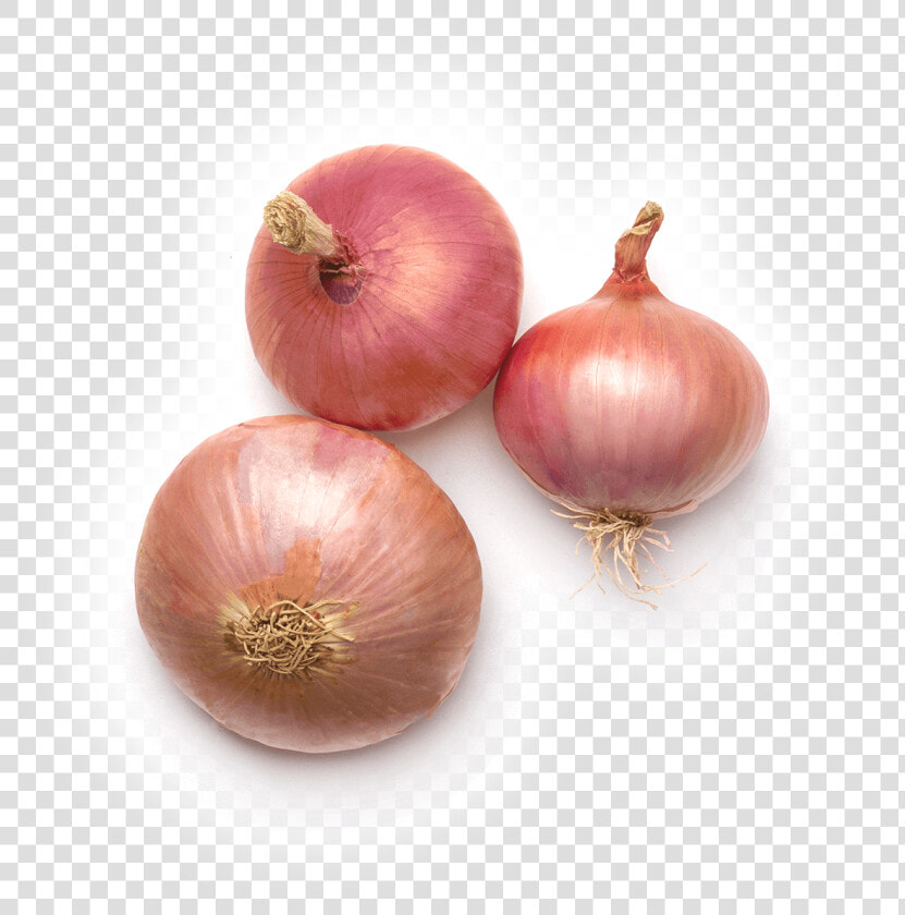 Cebolla De Figueres  HD Png DownloadTransparent PNG