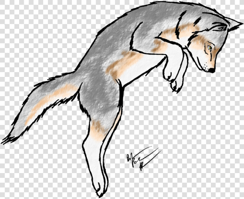 Free Clipart Wolf Pup Clipart Collection Gray Wolf   Draw A Wolf Pouncing  HD Png DownloadTransparent PNG