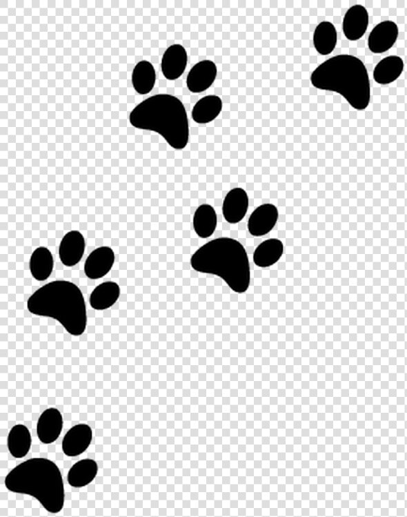 Transparent Zap Clipart   Cat Paw Print Png  Png DownloadTransparent PNG