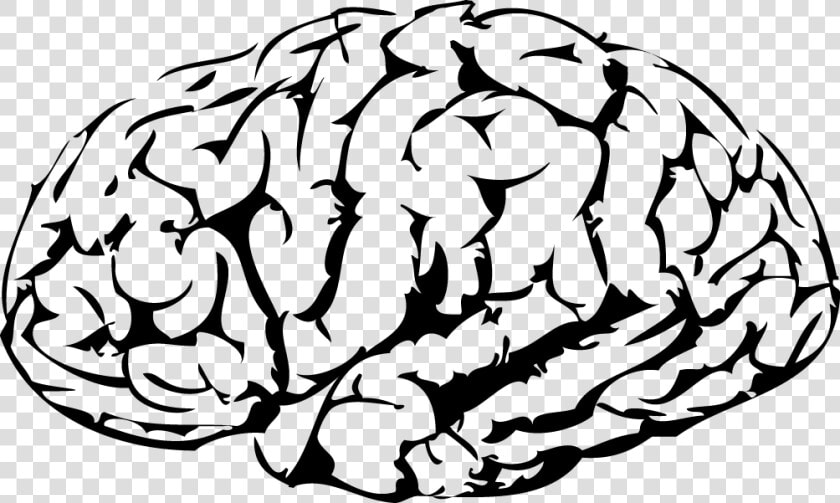 Brain Png Vector   Vector Brain Png  Transparent PngTransparent PNG