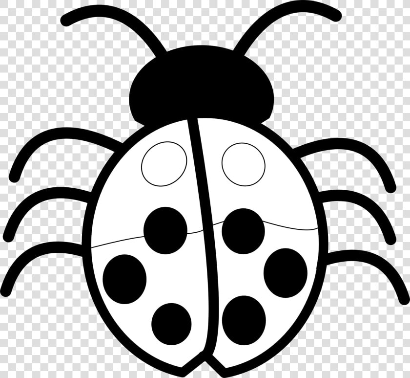 Black And White Clip Art Lines Dromfib Top   Bug Clipart Black And White  HD Png DownloadTransparent PNG