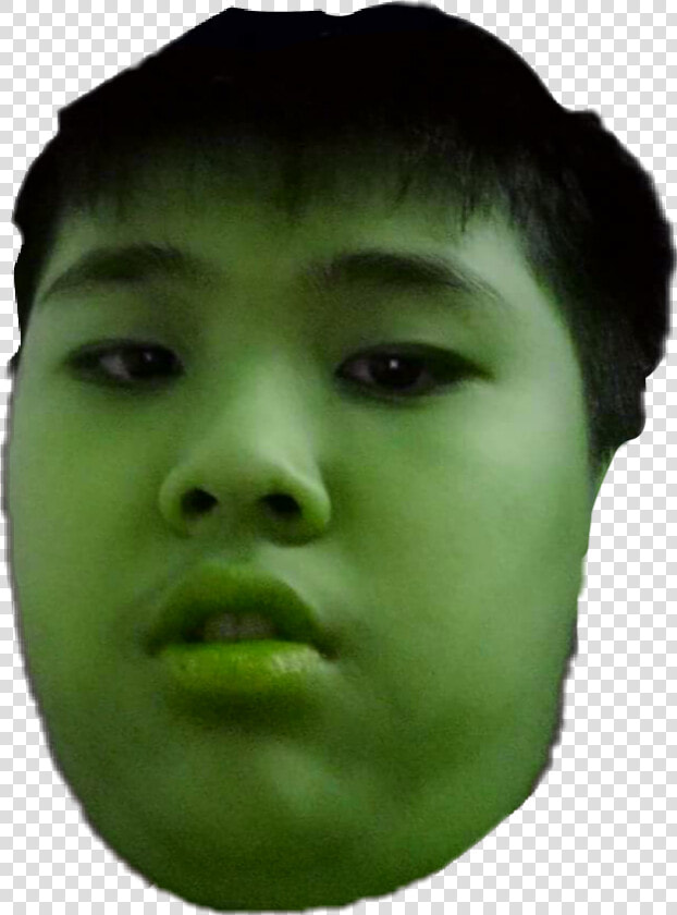 Transparent Shrek Head Png   Shrek Boy  Png DownloadTransparent PNG