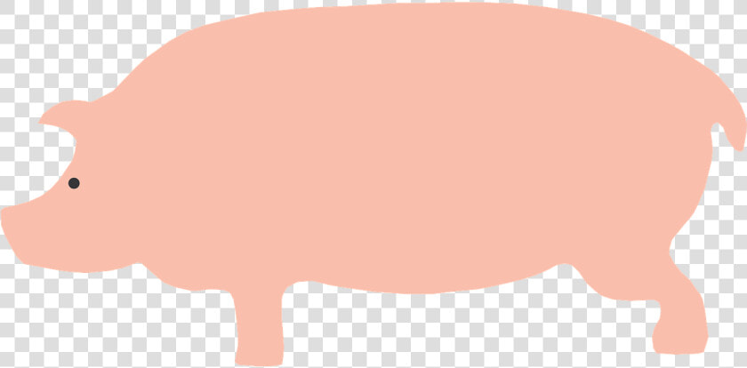 Domestic pig   Cartoon Pig Side View  HD Png DownloadTransparent PNG