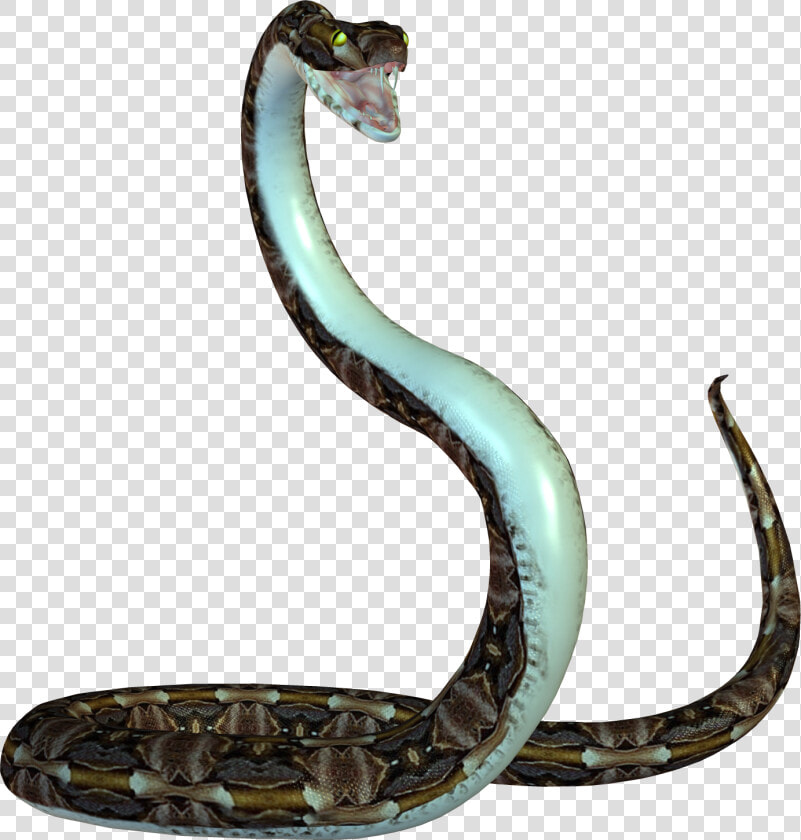 Snake Png Image Picture Download Free   Animated Snake Png  Transparent PngTransparent PNG