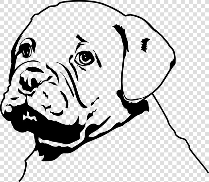 Line Art carnivore guard Dog   Olde English Bulldogge  HD Png DownloadTransparent PNG