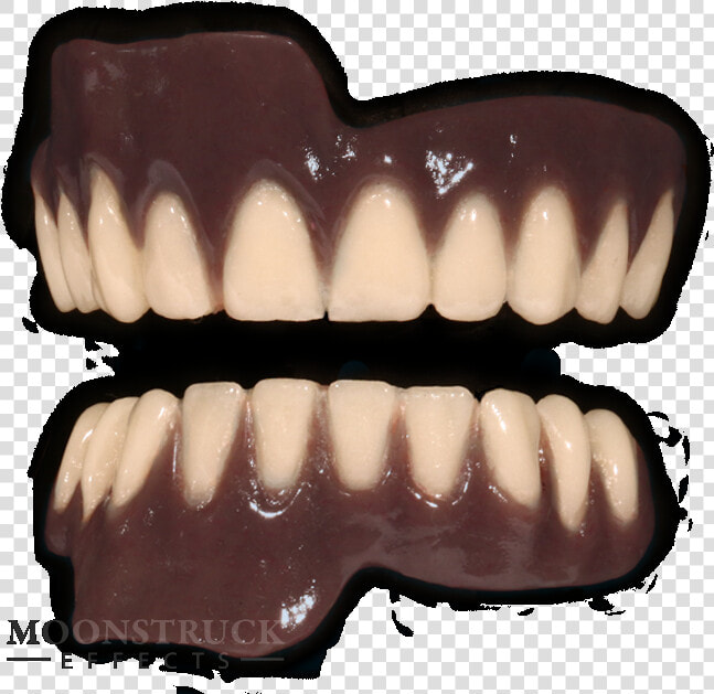 Zombie Teeth Png   People With Purple Gums  Transparent PngTransparent PNG