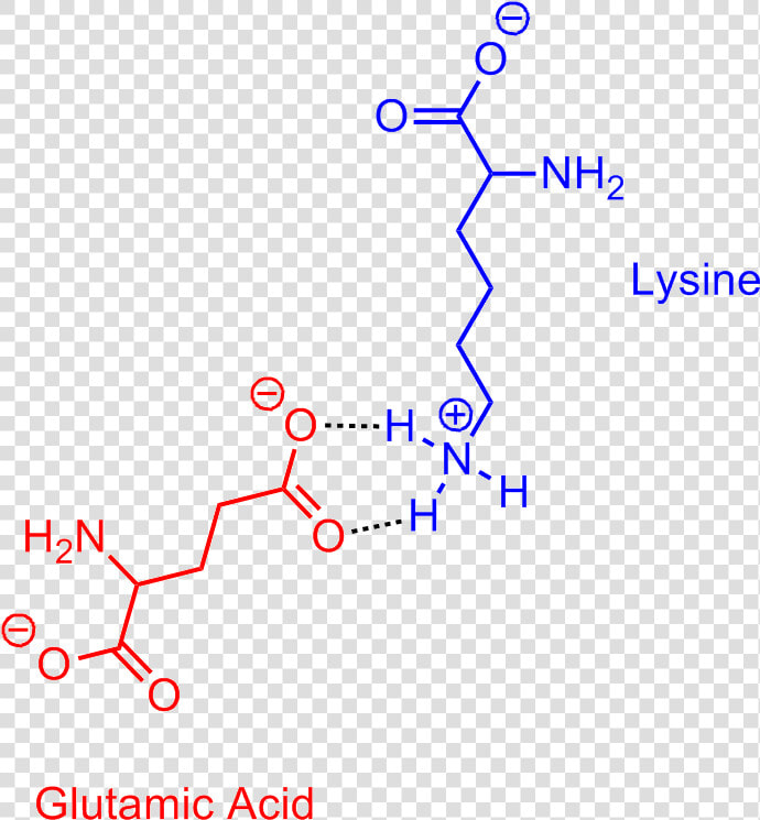 Glutamic Acid Lysine Salt Bridge   Lysine Aspartic Acid Salt Bridge  HD Png DownloadTransparent PNG