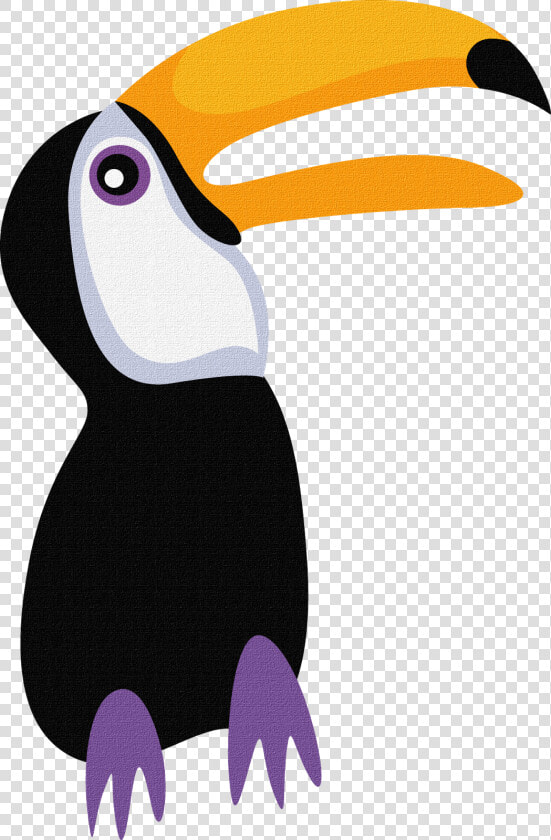 Transparent Toucan Clipart   Safari Png  Png DownloadTransparent PNG