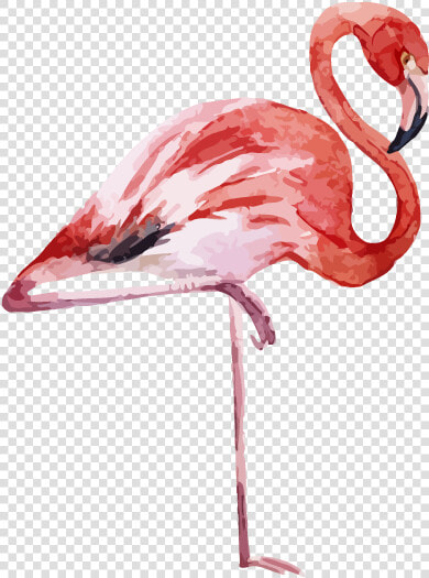 Flamingo Printing Canvas Print Printmaking  HD Png DownloadTransparent PNG