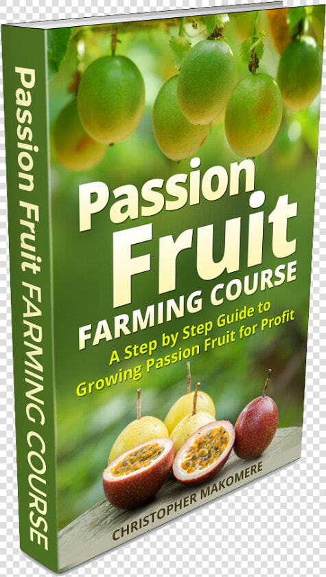 Passion Fruit Farming In Large Scale  HD Png DownloadTransparent PNG