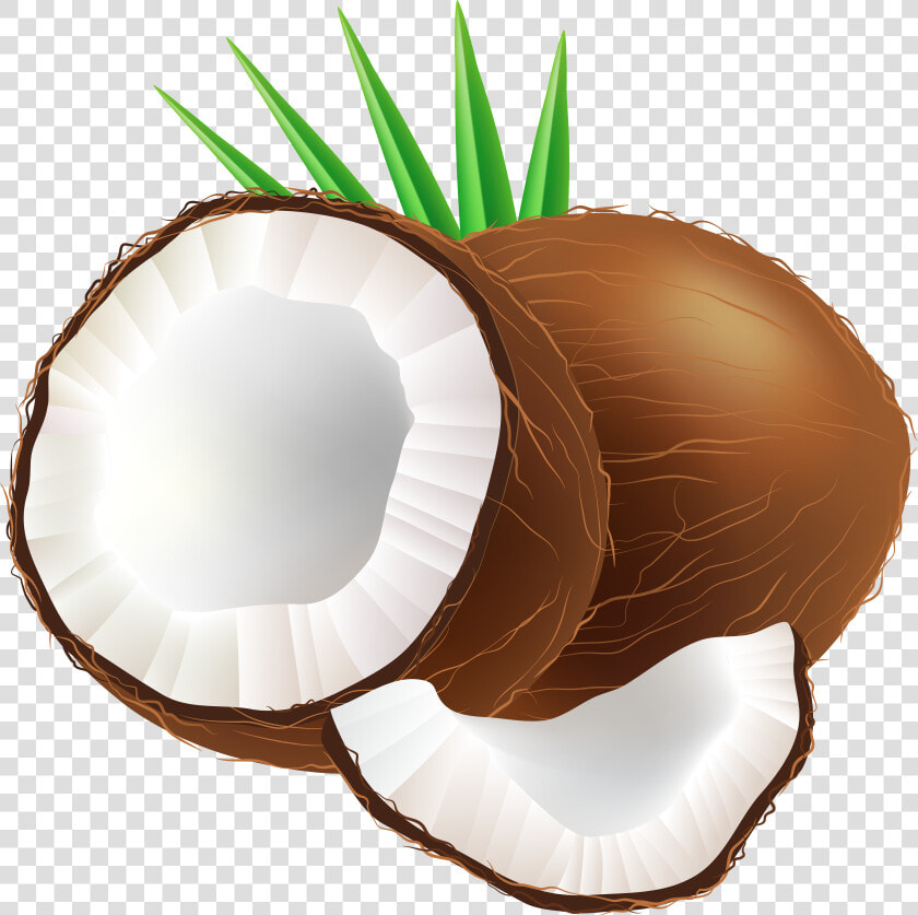 Transparent Coconut Bra Png   Clip Art Of Coconut  Png DownloadTransparent PNG