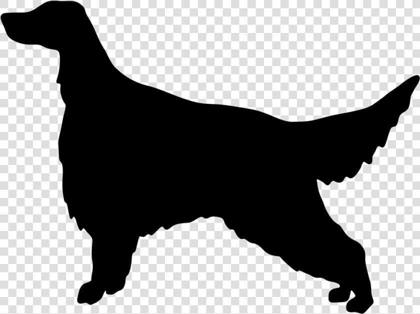 Red Setter Clipart Golf   Golden Retriever Silhouette Vector  HD Png DownloadTransparent PNG