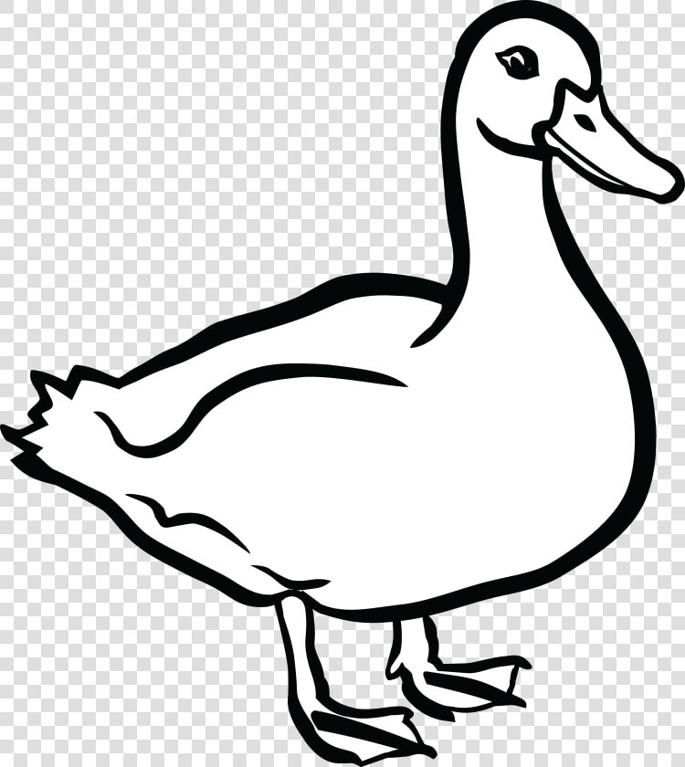 Duck Black And White   Clip Art Black And White Duck  HD Png DownloadTransparent PNG