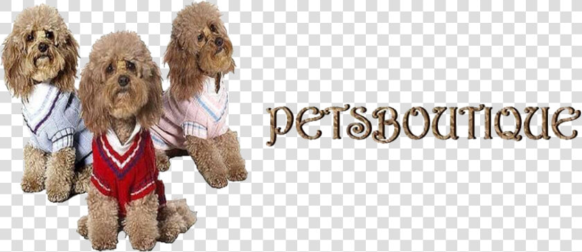 Petsboutique Online Logo   Labradoodle  HD Png DownloadTransparent PNG