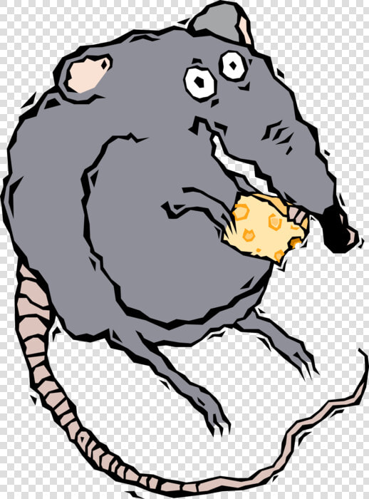 Vector Illustration Of Rodent Rat Eating Cheese   Kerkklok Wijzerplaat Te Koop  HD Png DownloadTransparent PNG