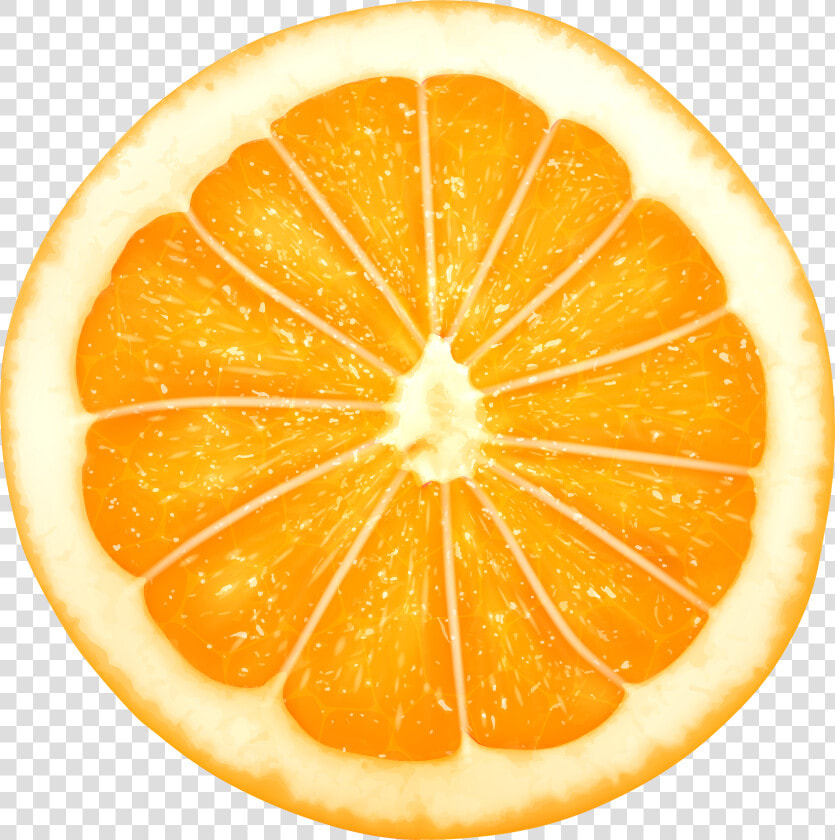 Orange Slice Png Clip Art Transparent Image   Orange Slice On Top Png  Png DownloadTransparent PNG