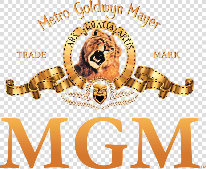 Metro Goldwyn Mayer Logo  HD Png DownloadTransparent PNG