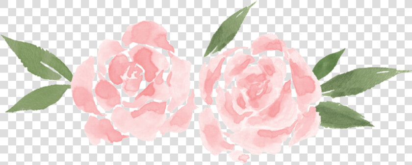 Yellow Roses Png   Png Download   Garden Roses  Transparent PngTransparent PNG