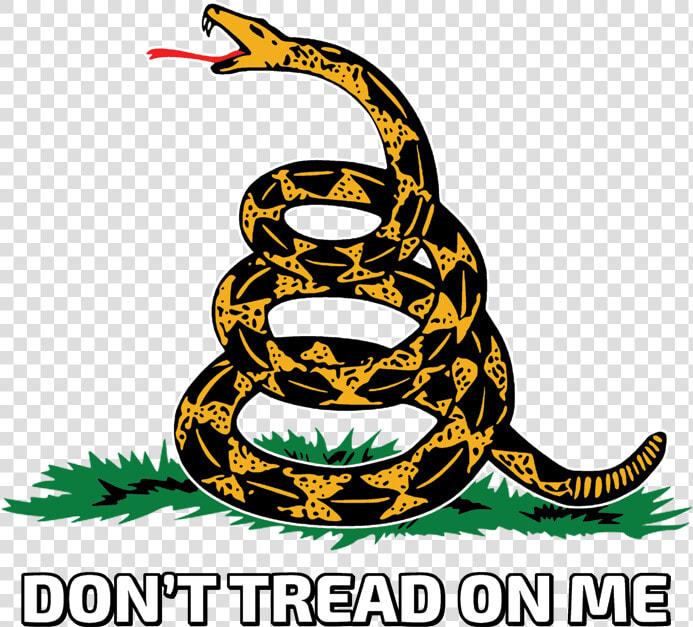 Don T Tread On Me Png   Dont Tread On Me Snake Tattoo  Transparent PngTransparent PNG