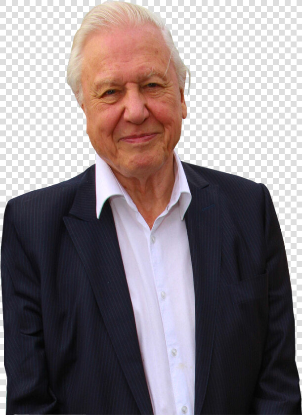 Sir David Attenborough Transparent Background   David Attenborough Transparent Background  HD Png DownloadTransparent PNG