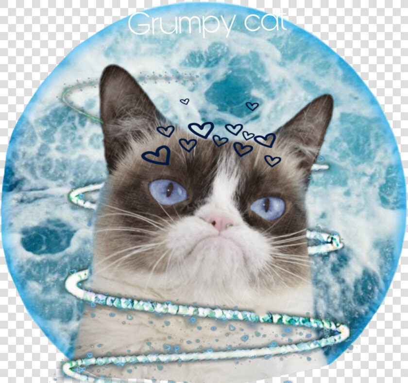  grumpycat  grumpy  cat  weloveyou  goodbye  sad  depressing   Grumpy Cat Bobs Skechers  HD Png DownloadTransparent PNG