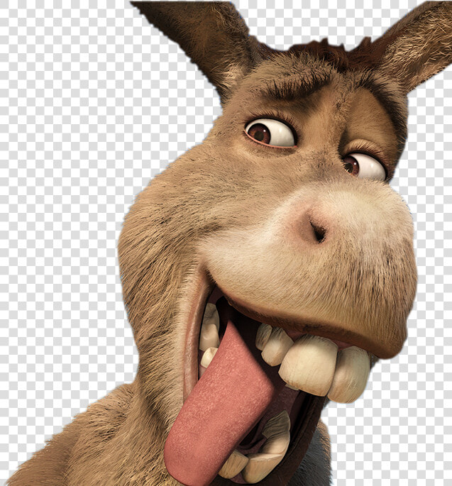 Resultado De Imagen De Burro Png   Donkey Shrek  Transparent PngTransparent PNG