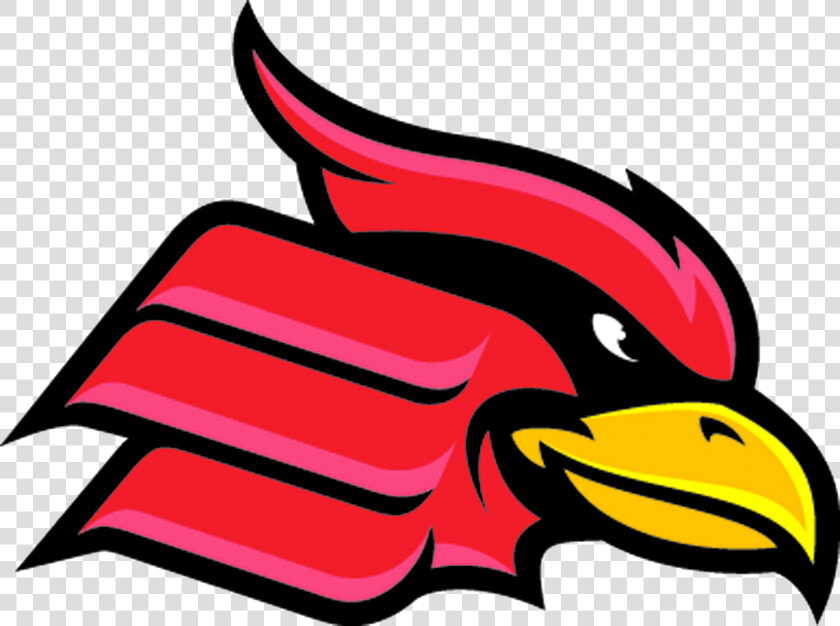 Wheeling Jesuit University Cardinal  HD Png DownloadTransparent PNG