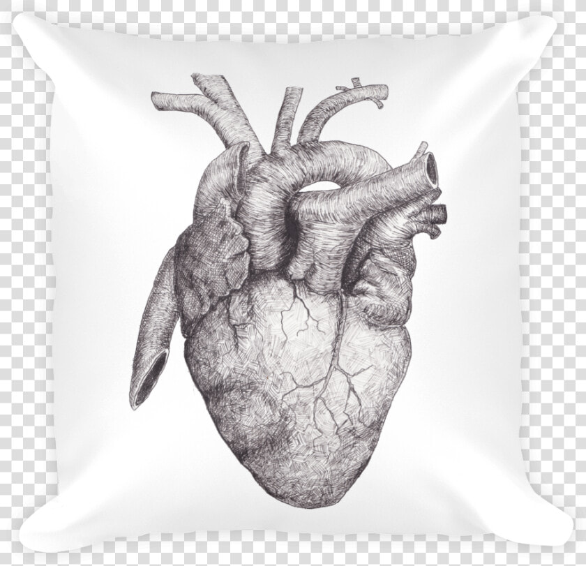 Transparent Anatomical Heart Png   Fall Of Hearts Cd  Png DownloadTransparent PNG