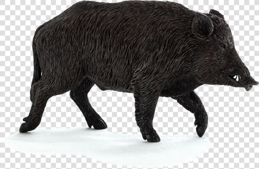 Wild Boar Pic Transparent  HD Png DownloadTransparent PNG