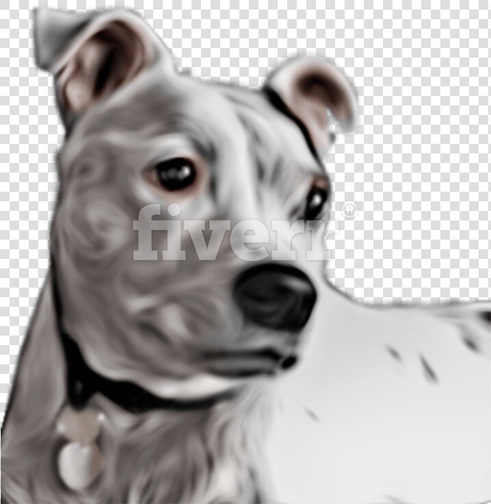 Great Dane   Png Download   American Pit Bull Terrier  Transparent PngTransparent PNG