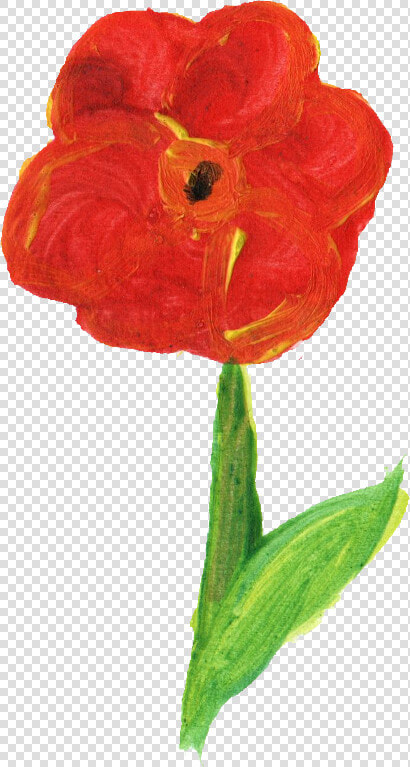 Persian Buttercup  HD Png DownloadTransparent PNG