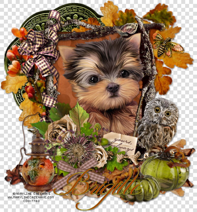 Yorkies Clipart Brown Puppy   Thanksgiving Yorkie  HD Png DownloadTransparent PNG