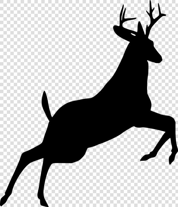 Deer  Jumping  Silhouette  Animal  Leaping  Wildlife   Deer Silhouette  HD Png DownloadTransparent PNG