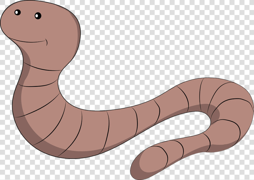 Earth Worm  Earthworm  Earth  Maggot  Nature  Hen    Earth Worm  HD Png DownloadTransparent PNG