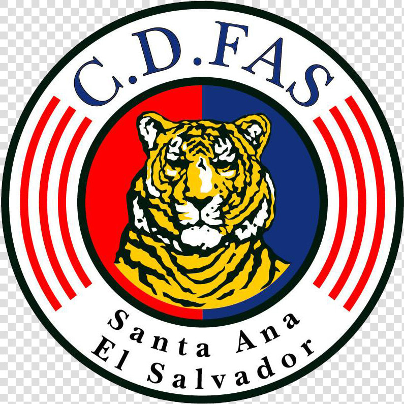 Cd Fas  HD Png DownloadTransparent PNG