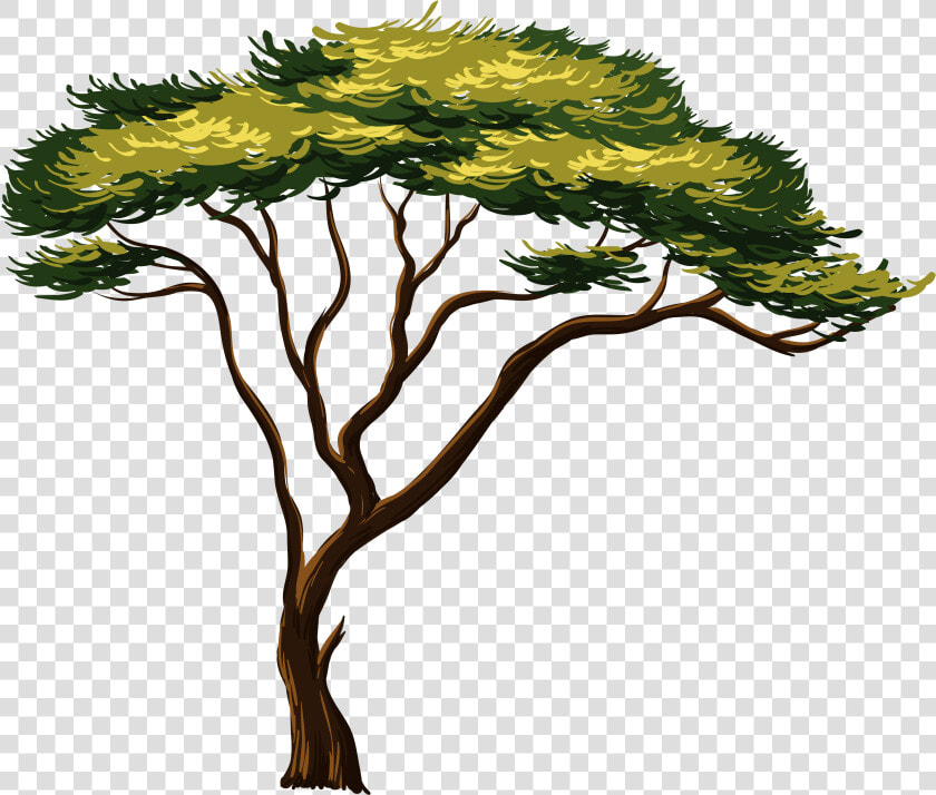 Painted African Png Picture Trees Pinterest   African Tree Png  Transparent PngTransparent PNG