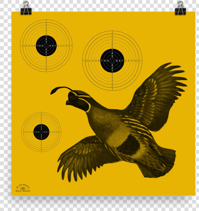 Quail Target  HD Png DownloadTransparent PNG