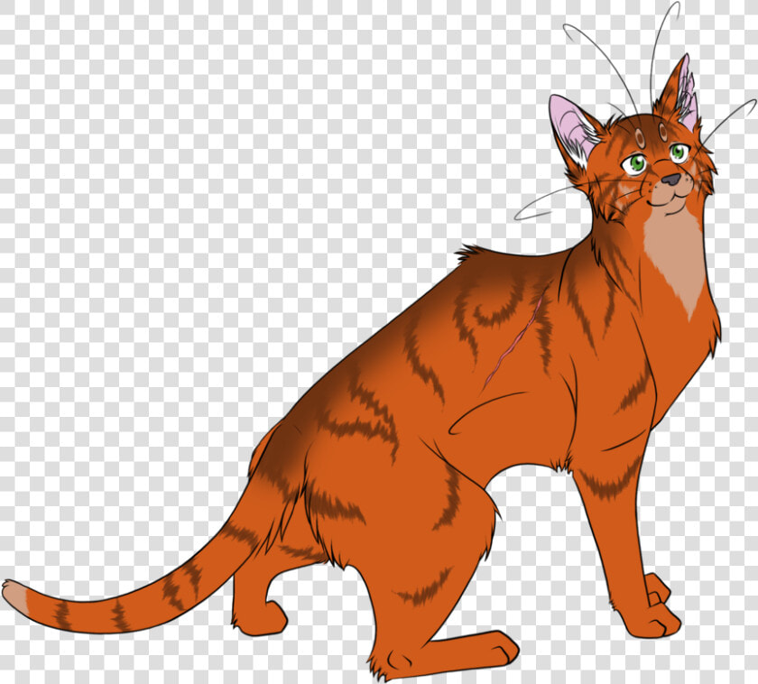 Transparent Warrior Cats Firestar  HD Png DownloadTransparent PNG