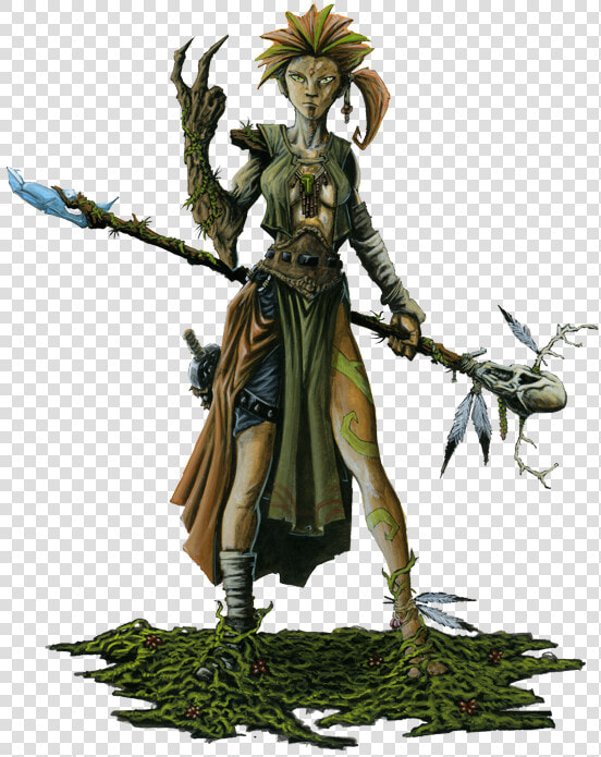 Elf Druid Transparent Background  HD Png DownloadTransparent PNG