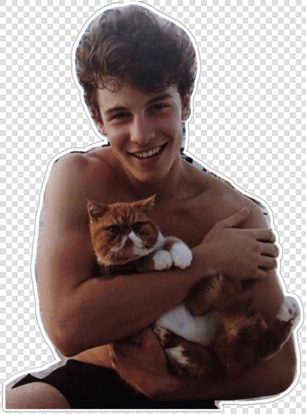  overlays  complex  singers  people  overlay  png  pngs   Shawn Mendes Holding A Cat  Transparent PngTransparent PNG