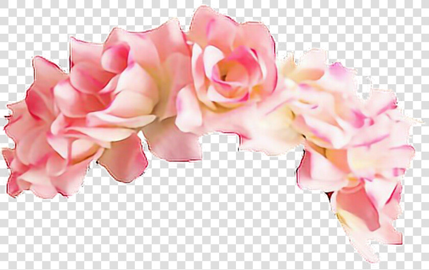 Flower Crown Png Tumblr   Pink Flower Crown Png  Transparent PngTransparent PNG