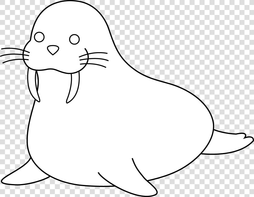 Colorable Walrus Free Clip Art   Clip Art  HD Png DownloadTransparent PNG