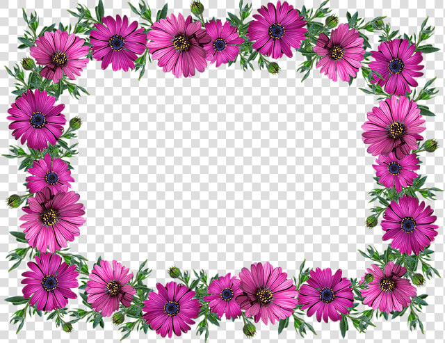 Frame  Border  Daisies  Decoration  Label   Kwiaty Gify Bez Tła  HD Png DownloadTransparent PNG