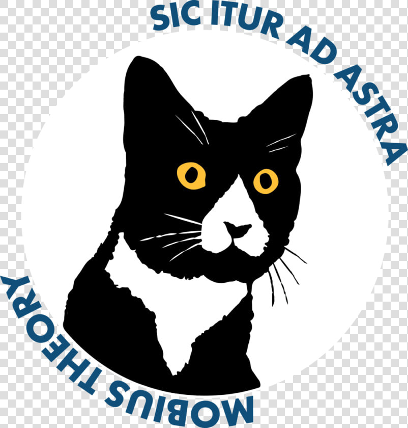 Mobius Theory Daft Cat Logo For Website  HD Png DownloadTransparent PNG