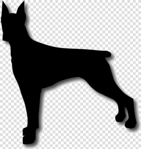 Transparent Doberman Png Clipart Free Download   Dobermann  Png DownloadTransparent PNG