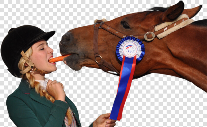 Girl Eating Carrot With Horse Png Image   Horse And Girl Eating Carrot  Transparent PngTransparent PNG