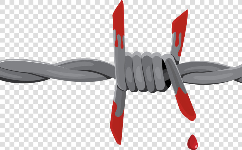 Bloody Barbed Wire   Bloody Barbed Wire Png  Transparent PngTransparent PNG