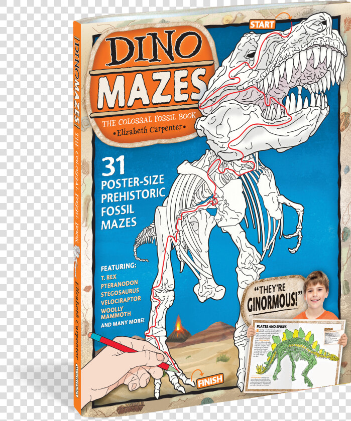 Cover   Dinomazes  The Colossal Fossil Book  HD Png DownloadTransparent PNG