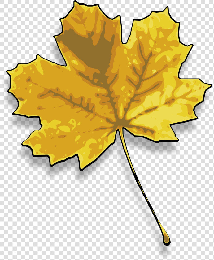 Maple Clipart Dry Leaf   Dried Leaf Clip Art  HD Png DownloadTransparent PNG