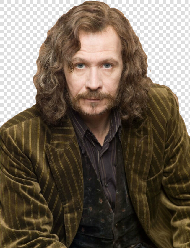 Transparent Black Male Model Png   Gary Oldman Sirius Black  Png DownloadTransparent PNG